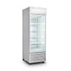 Single Glass Door Colourbond Upright Drink Fridge - LG-370GT - KW Commercial Kitchen