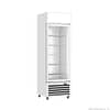 Thermaster LG-370P Single Glass Door Fridge – 370L, LED Light Box, Colourbond