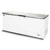 AG Stainless Lid Chest Freezer BD650S - 550L Commercial Storage