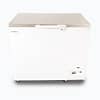 Bromic Freezer Chest CF0300FTSS-NR 296L Hinged SS 3ft