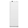 Polar C-Series 365L Upright Freezer - Commercial Freezer
