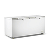 Thermaster 600L Chest Freezer - Stainless Steel Lid BD600F