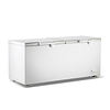 Thermaster BD750F 750L Chest Freezer with Stainless Steel Lids