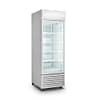 2NDs: Thersmaster Single Glass Door Colourbond Upright Drink Fridge LG-370GT-QLD119 - KW Commercial Kitchen