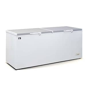 AG BD700S Commercial Chest Freezer Stainless Steel Split 2-Door - 670L