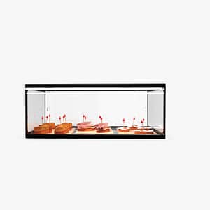 Sayl ADS0025 Ambient Display Single Tier