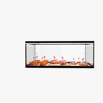 Sayl ADS0025 Ambient Single Tier Display – 555mm Showcase for Muffins, Cakes & Bakery