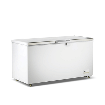 Thermaster BD520F Chest Freezer with 520L Capacity – Ideal for Commercial Storage