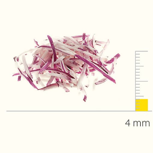 Stainless Steel Shredding Disc With S-Blades 4X4 Mm - DS650077 - Image 2