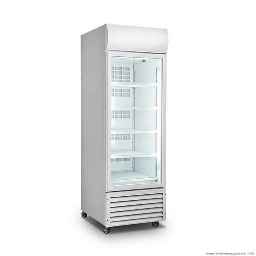 Single Glass Door Colourbond Upright Drink Fridge - LG-370GT - Image 2