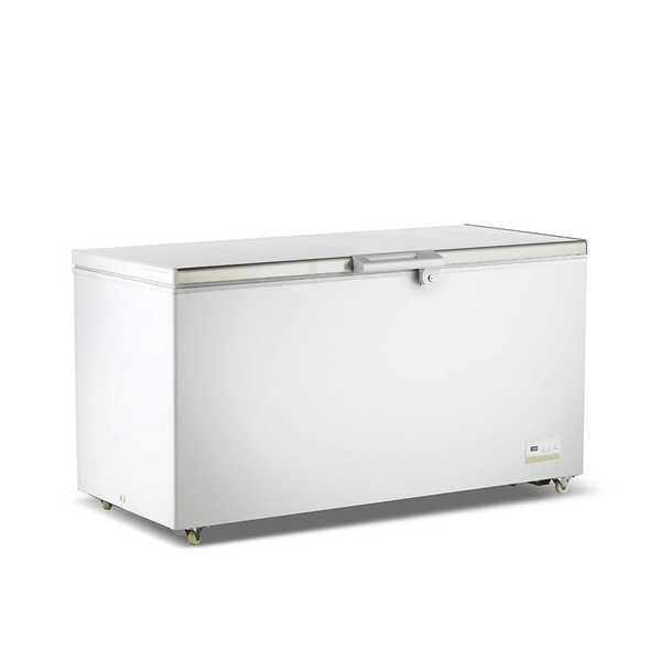 Thermaster BD520F Chest Freezer with 520L Capacity – Ideal for Commercial Storage