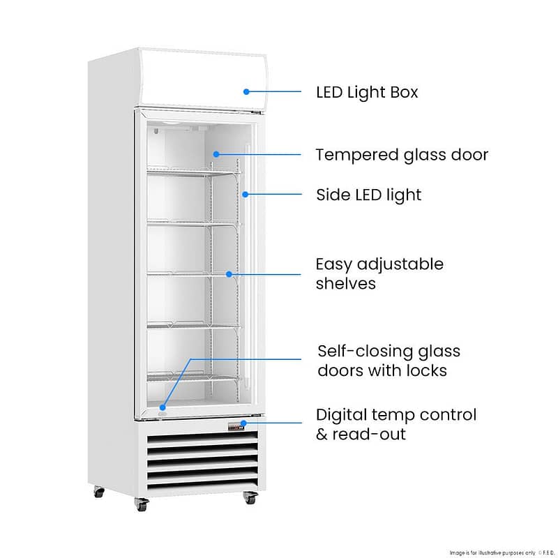 Thermaster LG-370P Single Glass Door Fridge – 370L, LED Light Box, Colourbond - Image 2