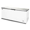 AG Stainless Lid Chest Freezer BD650 - 550L Commercial Storage Solution