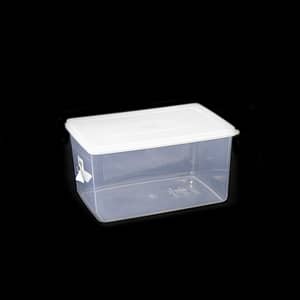 Food Storage Box Clear with White Cover 260*180*140/0843 6.5L 014680