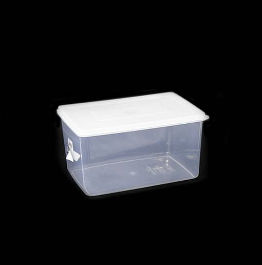 Food Storage Box Clear with White Cover 260*180*140/0843 6.5L 014680