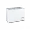 Thermaster WD-620F 620L heavy-duty chest freezer with curved glass sliding lids