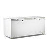 Thermaster BD750F 750 L chest freezer with dual stainless-steel hinged lids and baskets, –18 to –22 °C R290 refrigerant – 2030 mm, Australia