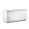 Thermaster BD600F 600 L chest freezer with two stainless-steel hinged lids and baskets, –18 to –22 °C R290 refrigerant – 1800 mm, Australia