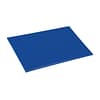 Hygiplas Blue Antibacterial Chopping Board - For Raw Fish