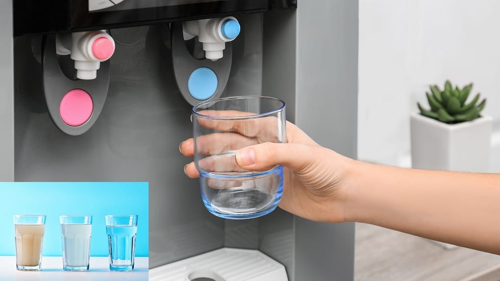 Backflow & Cross Connection for Food Equipment: RPZ/DCV, Records & Testing