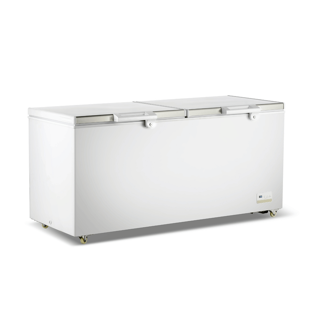 Thermaster BD600F 600 L chest freezer with two stainless-steel hinged lids and baskets, –18 to –22 °C R290 refrigerant – 1800 mm, Australia