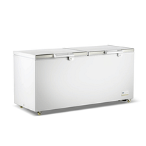 Thermaster BD600F 600 L Chest Freezer with Dual Stainless-Steel Lids