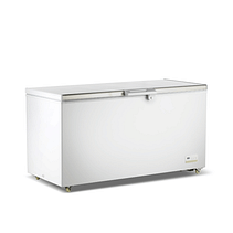 Thermaster BD520F 520 L chest freezer with stainless steel lid and baskets, -18 to -22 °C R290 refrigerant – 1600 mm, Australia