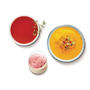 Robot Coupe Food Processor