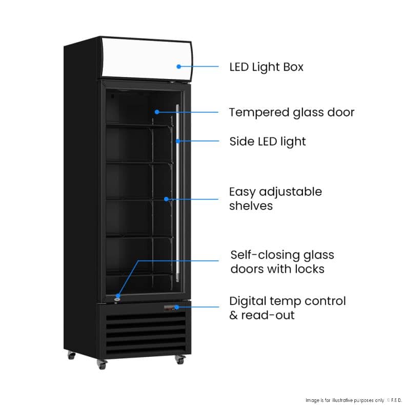 Thermaster LG-540BP Single Glass Door Upright Drink Fridge – 530 L, R290, 9-Star GEMS - Image 3