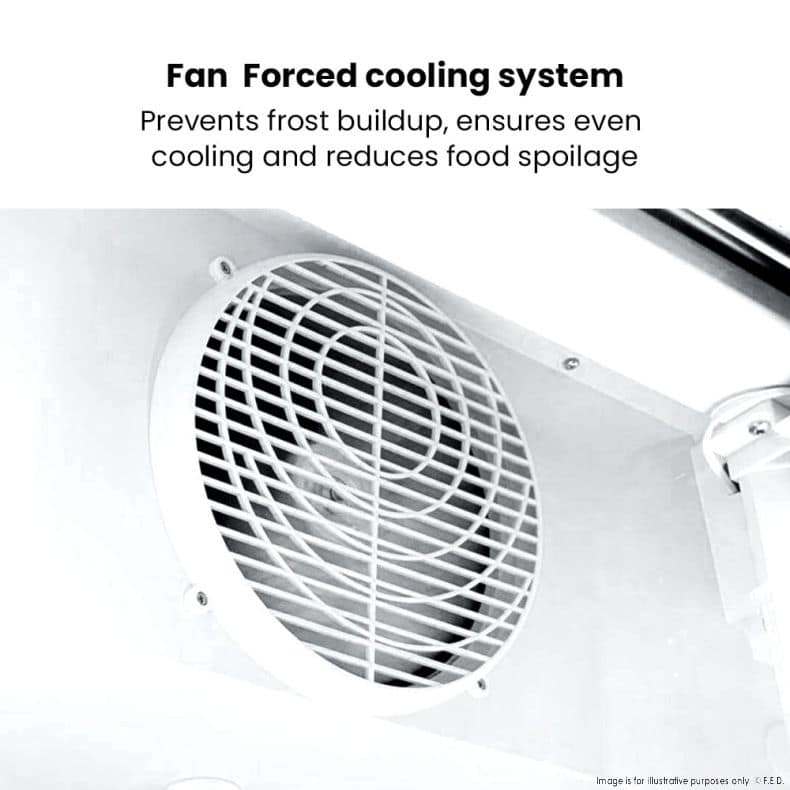 Thermaster LG-1000P Upright Drink Fridge – 1000L, 2 Glass Doors, White - Image 9