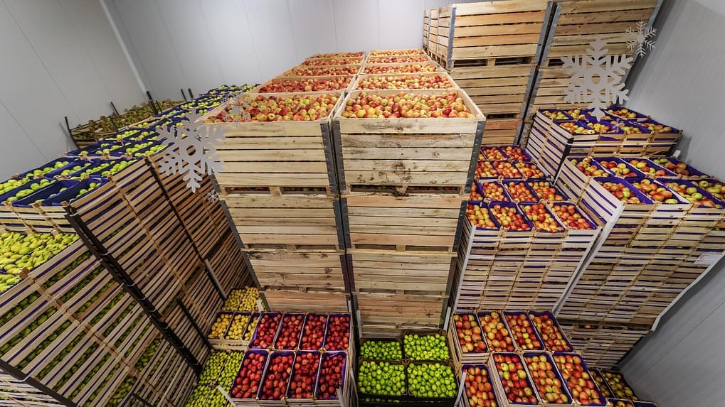 Australian weekend food stall showing cold chain and hot holding compliance with FSANZ standards