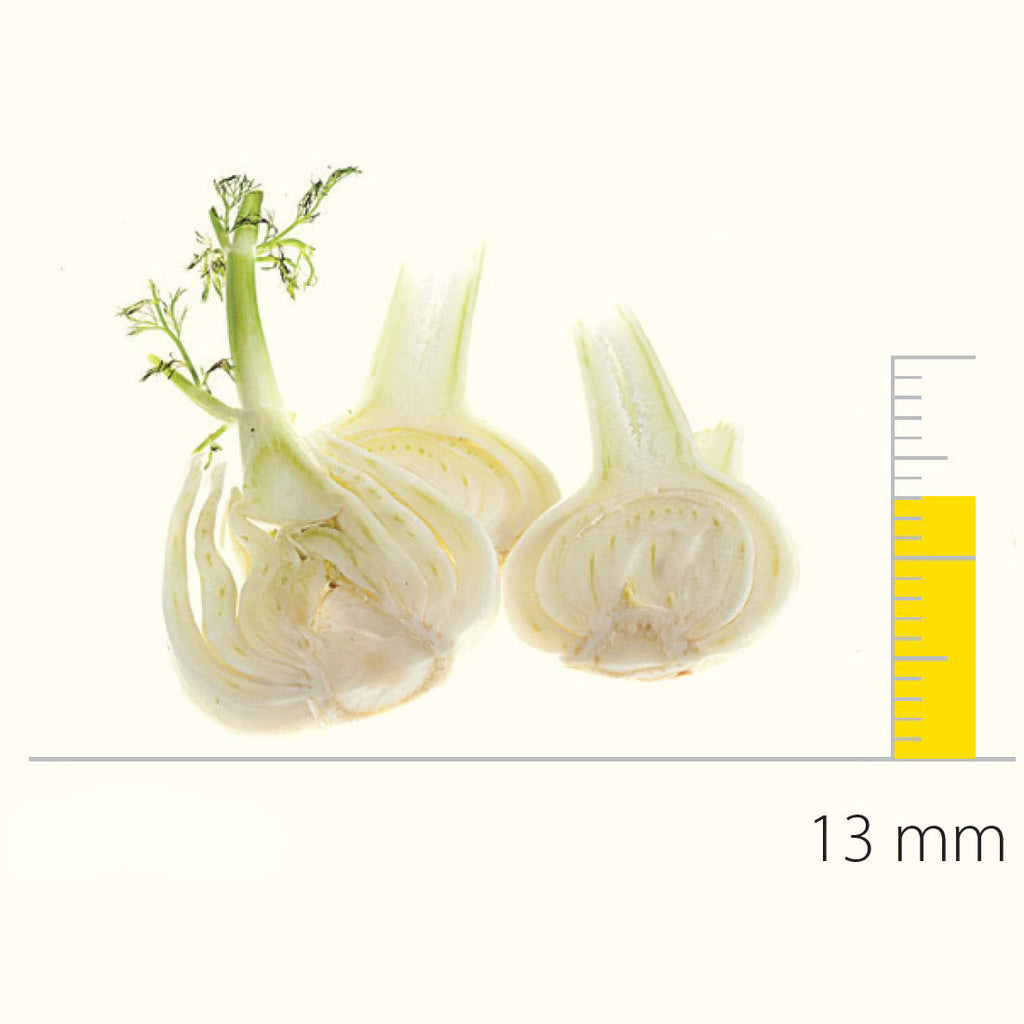 Stainless steel pressing/slicing disc with S-blades (balanced) 13 mm - DS650165 - Image 2