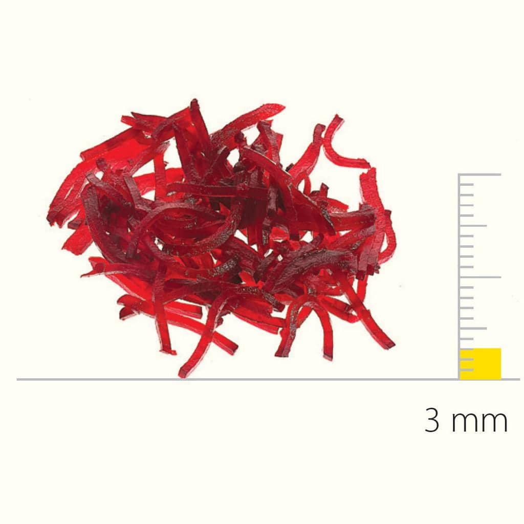 Stainless Steel Shredding Disc With S-Blades 3X3 Mm - DS650167 - Image 2