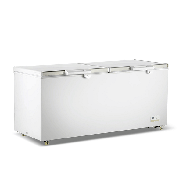 Thermaster BD750F 750L Chest Freezer with Stainless Steel Lids